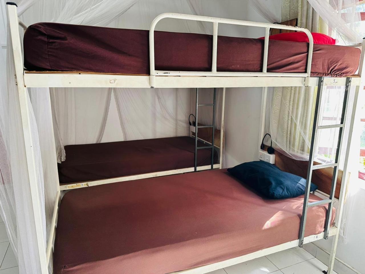 Rock View Hostel Елла Екстер'єр фото