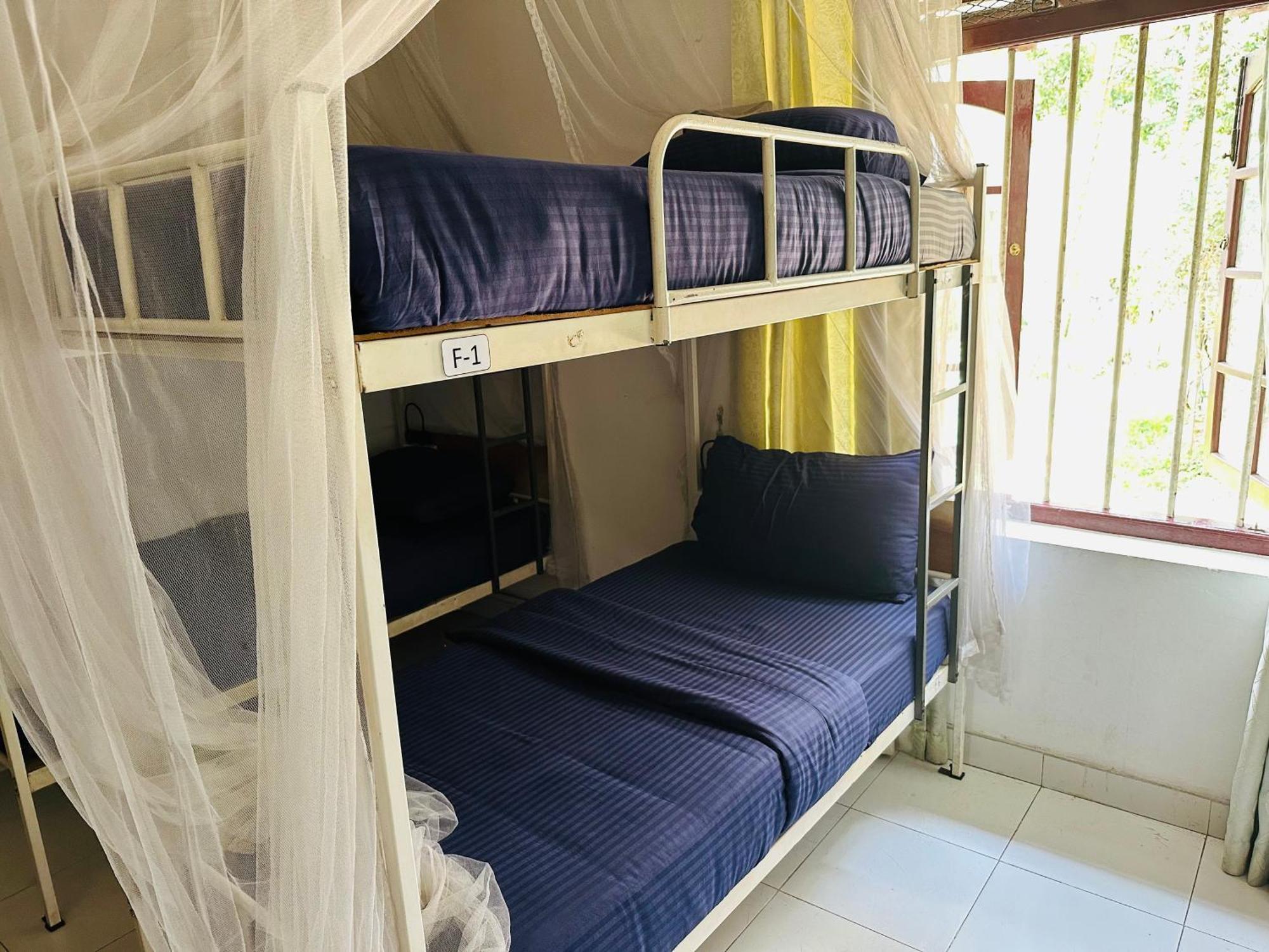 Rock View Hostel Елла Екстер'єр фото